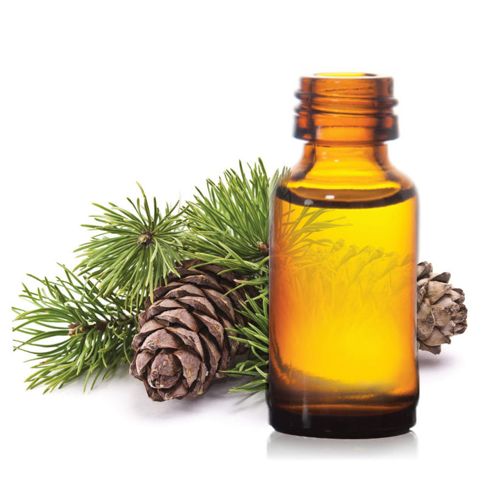 Essential oil balsam fir