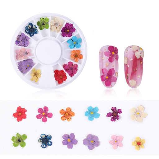 Nail Art Dry Flowers Mix